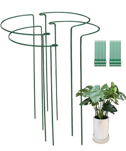 Pack 25x60cm garden plant - 4,