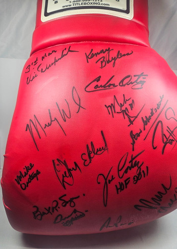 Signed giant boxing glove - signed,
