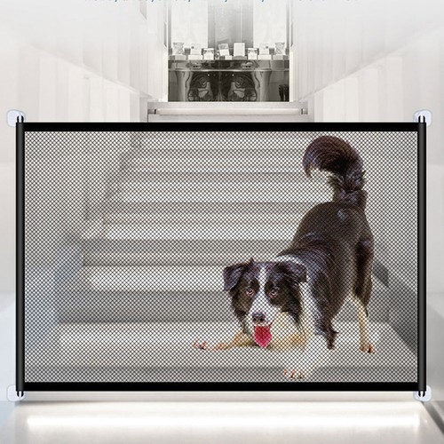 Pet dog gate safety - pet,