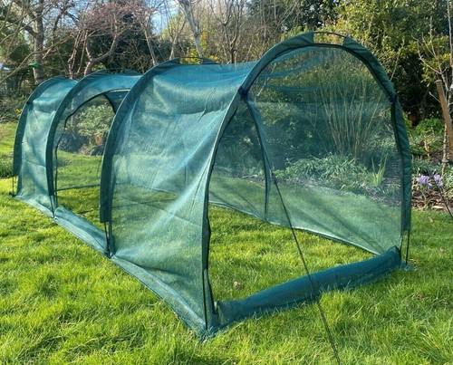 3x1 5x1 allotment plant - 3x1.5x1.5m,
