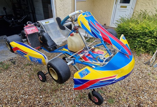 Tony kart alonso 2015 - /,