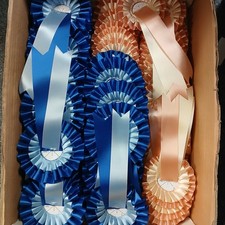 Rosettes job lot,  24 rosettes