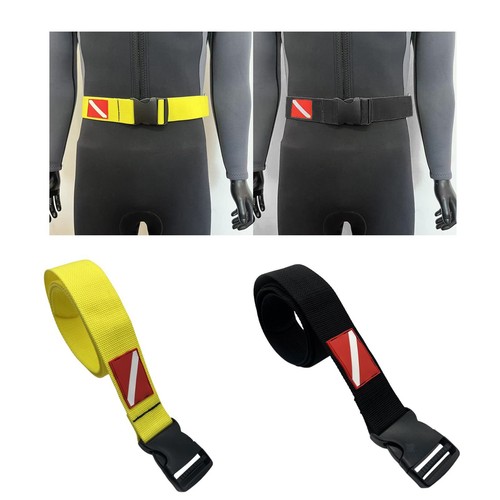 Fast release dive weight - release, belt