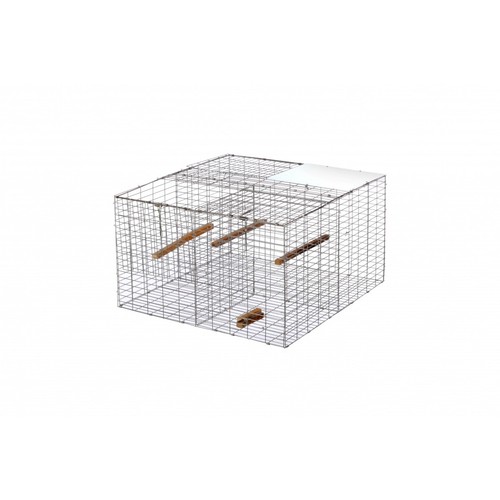 Larsen trap magpie - trap, with