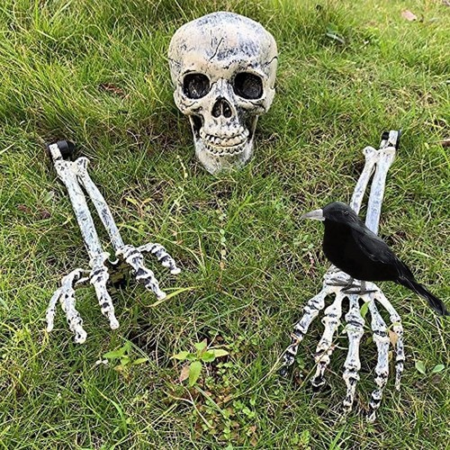 Skeleton decoration with crow - with,