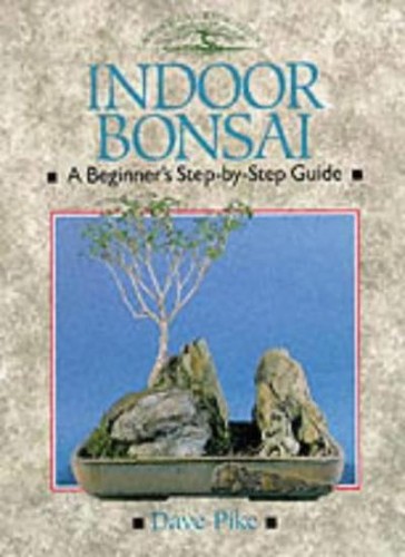 Indoor bonsai - indoor,