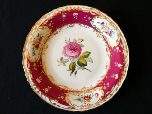 Vintage coalport single rose - coalport,