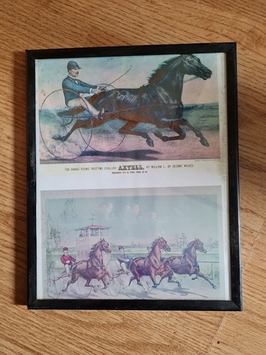 Vintage framed harness racing - framed,