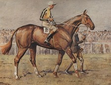 Snaffles A National Candidate