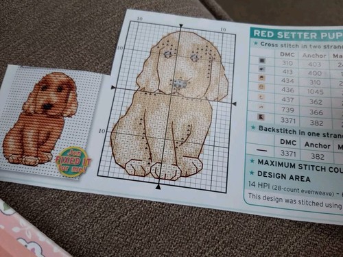 Mini red setter puppy pet - red, dog