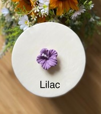 Edible Hibiscus Flowers  Sugar