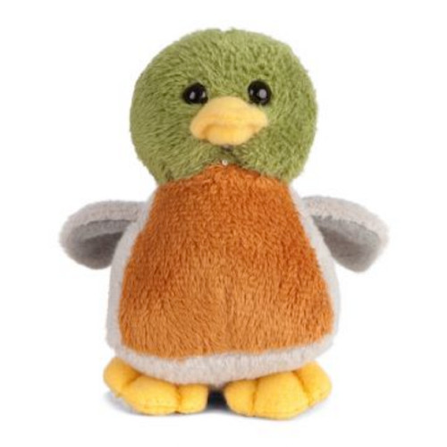 Living nature mallard - living,