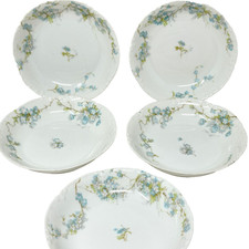 Limoges Haviland Fruit Dessert