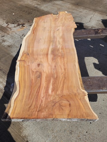 Yew log for sale live - log, edge