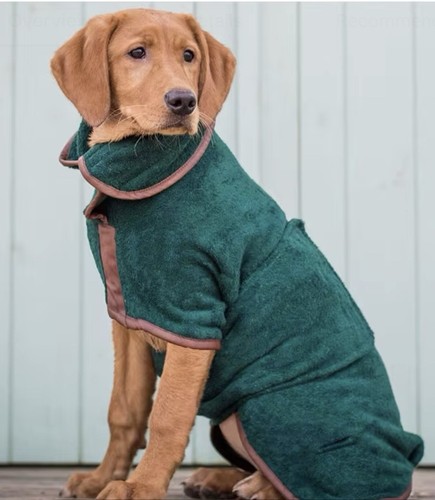 Wallsy pet supplies dog - wallsy’s,