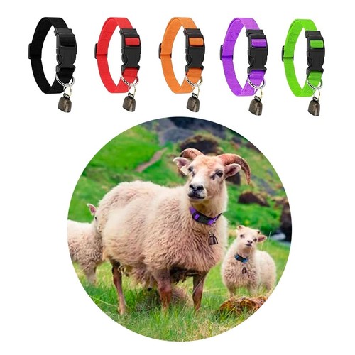 Animal collar with - collar, bell