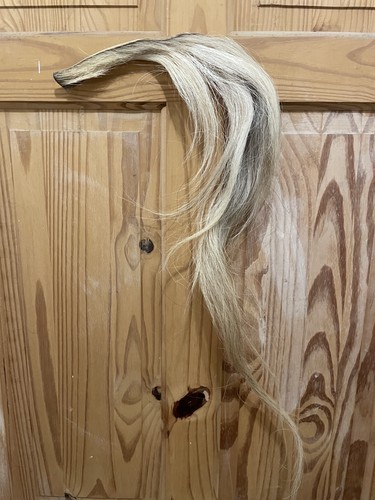 Blonde natural horse hair mane - natural,