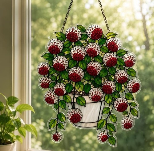 Hoya carnosa acrylic - hoya,