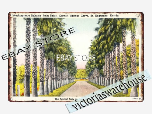 1930 washingtonia robusta - 1930-45,