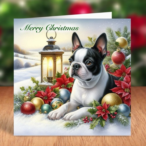 Boston terrier dog - terrier, christmas