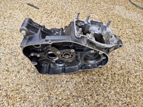 Suzuki 250 engine casings - suzuki, pe