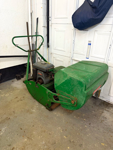 Ransomes mastiff - mastiff, 30”