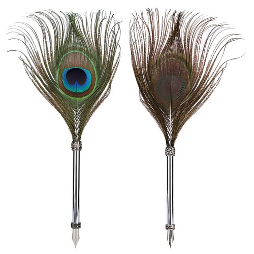 Vintage peacock feather - peacock, quill
