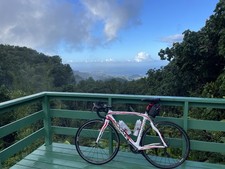 Pinarello Dogma 60.1 51.5cm