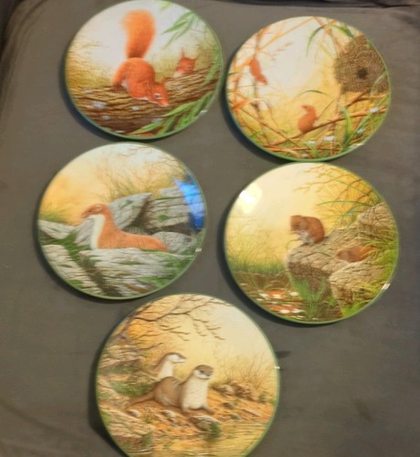 Royal doulton rollinsons - royal,