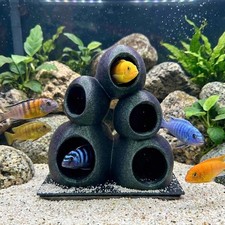 Cichlid Stone Cave Aquarium