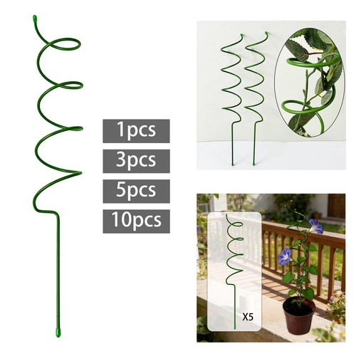 Piece spiral plant - spiral, support