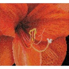 Cross-stitch kit Amaryllis 496A thea gouverneur Aida