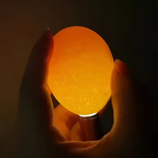 🐣 Mini Portable Egg Candler