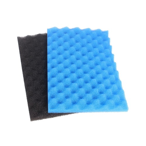 Compatible fish pond - fish, filter
