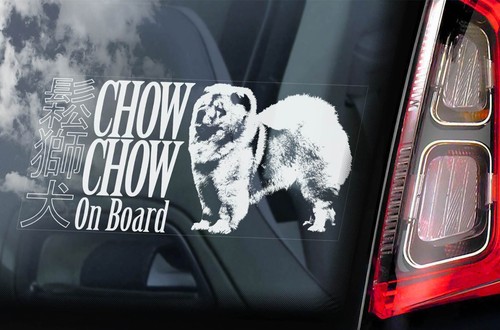 Chow car - chow,
