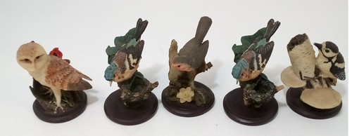 Country bird collection set - country, of