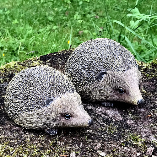 Hedgehog ornament garden
