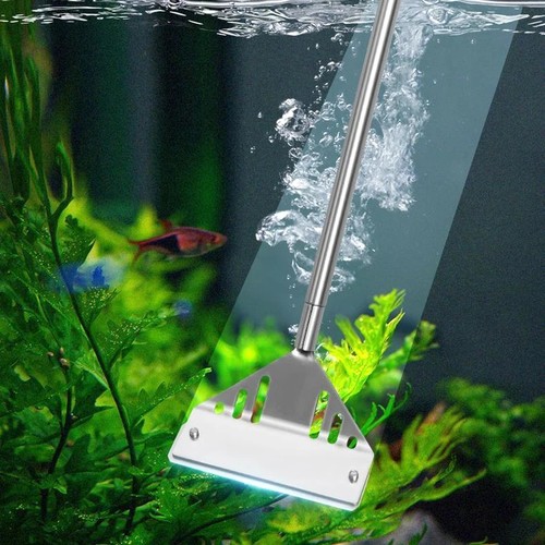 Stainless steel aquarium - steel, fish