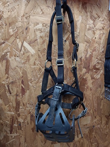 Greenguard grazing muzzle - grazing,
