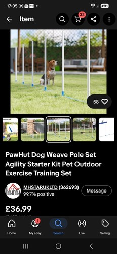 Paw hut doh agility - doh, set