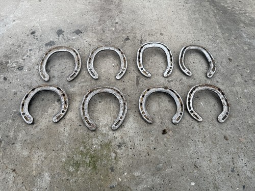 Used horseshoes ideal for - 20,