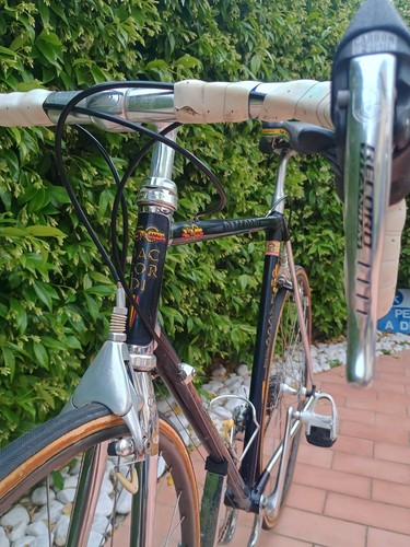 1983 vintage daccordi - 1983, 50th