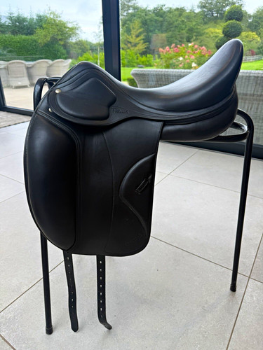 Amerigo pinerolo dressage - amerigo,