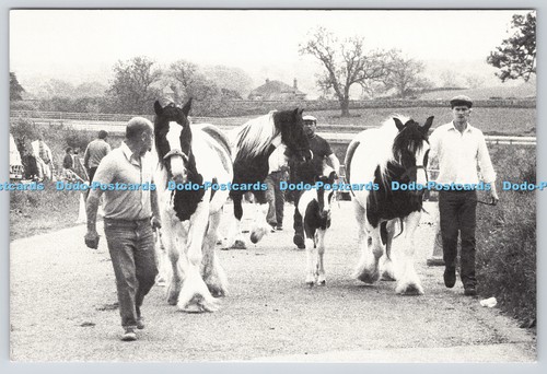 L346128 appleby fair the - l346128,