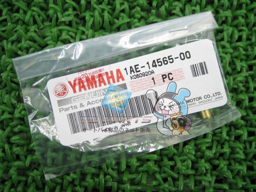 Genuine yamaha 1fm carburetor - genuine,