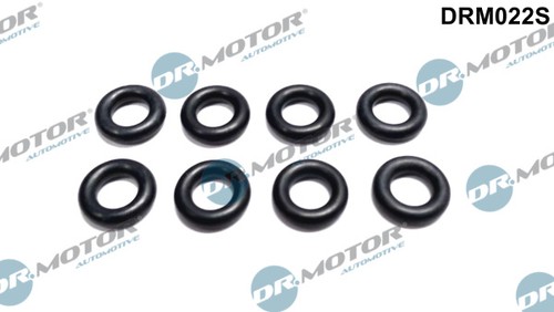 Seal ring injector motor - injector, dr.motor