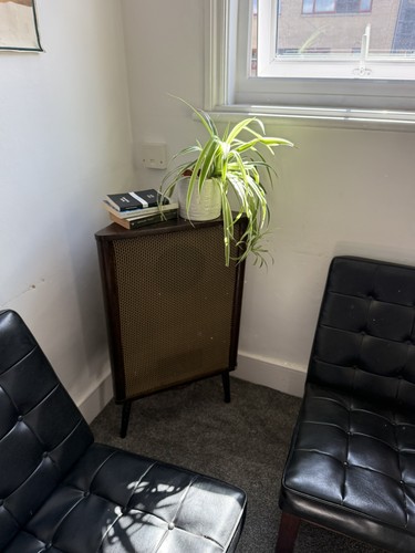 Mid century corner speaker 50s - mid,