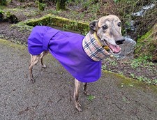 Waterproof Fleece-lined Dog