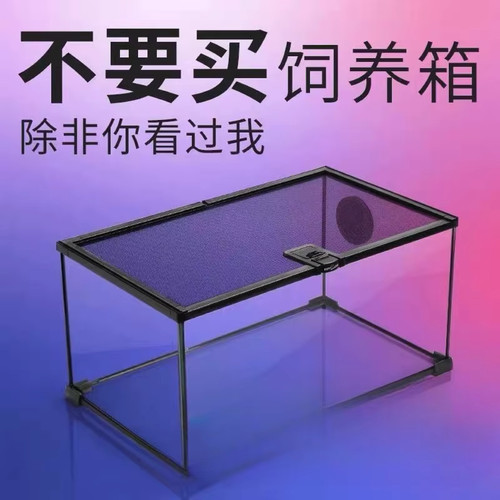 Glass climbing breeding - breeding, box