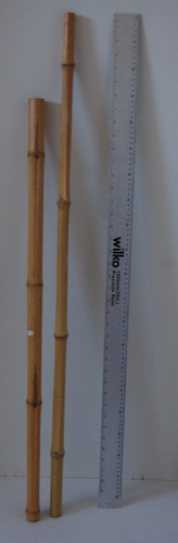 Bamboo poles reptiles craft - bamboo,